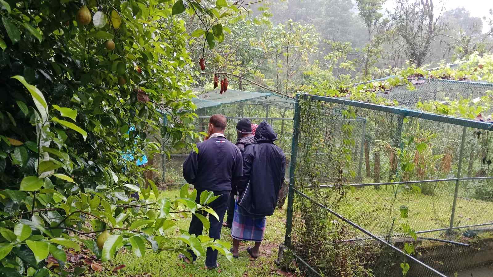 Kerala Spice Garden