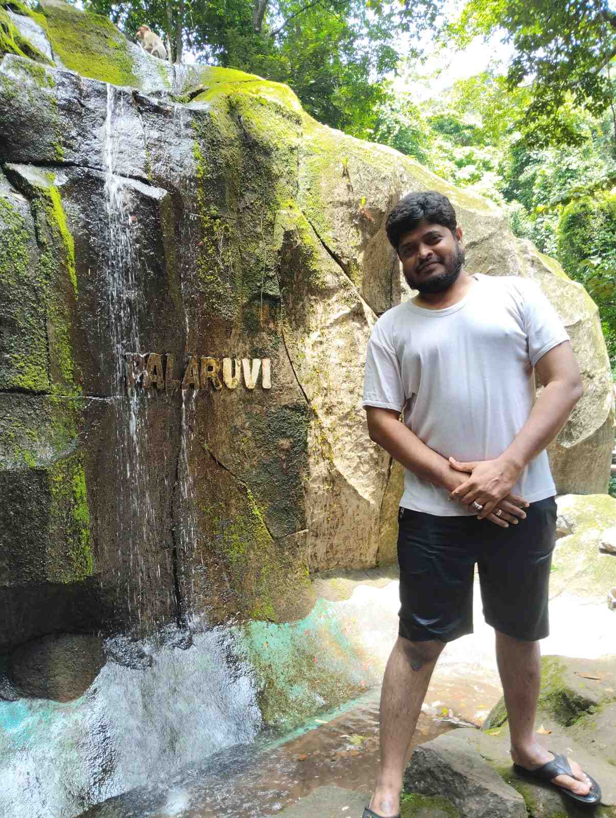 Palaruvi Falls Tour